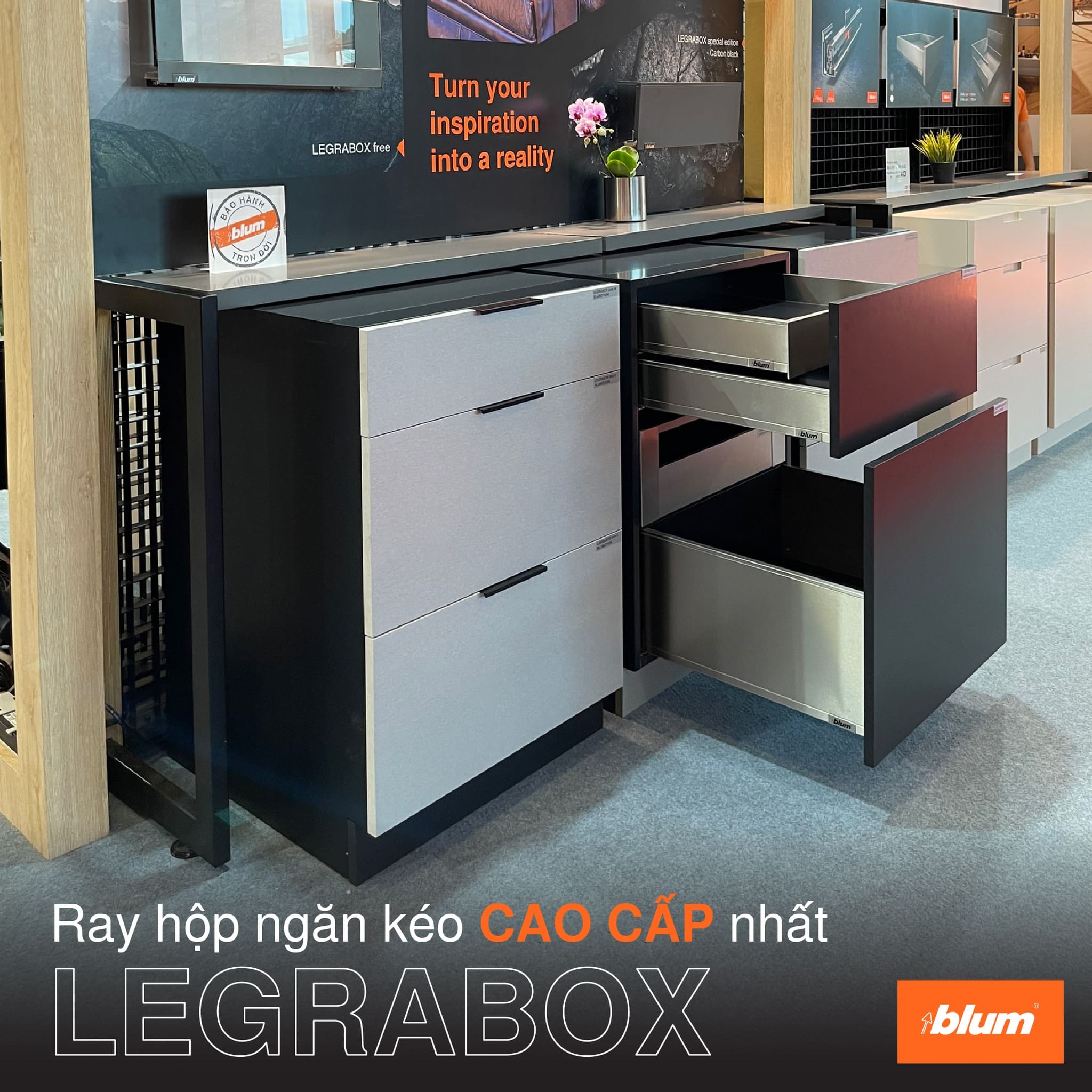 Phụ kiện Blum - Ray hộp Blum LEGRABOX C