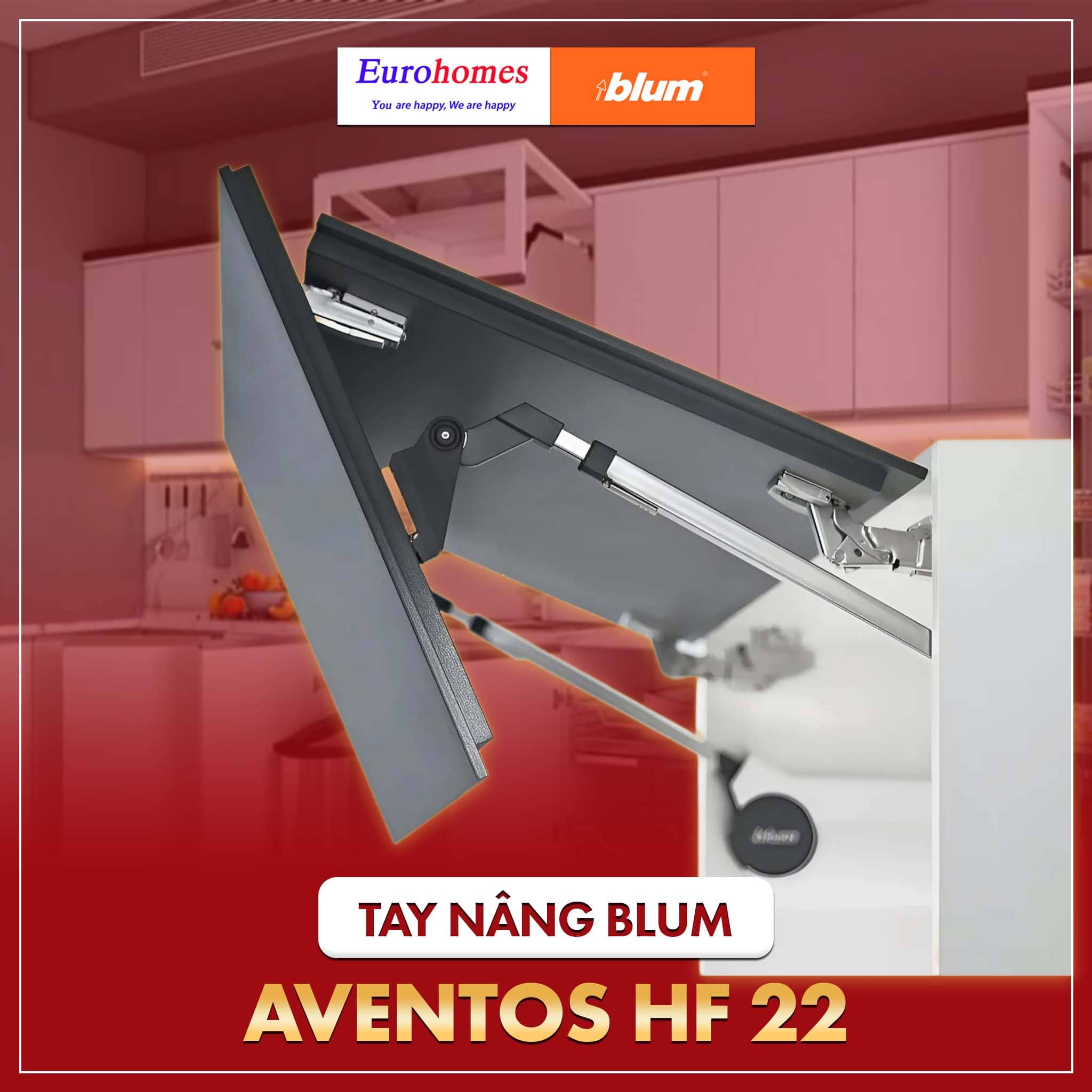 Tay nâng Blum HF22 giá siêu khuyến mãi tháng 2/2025