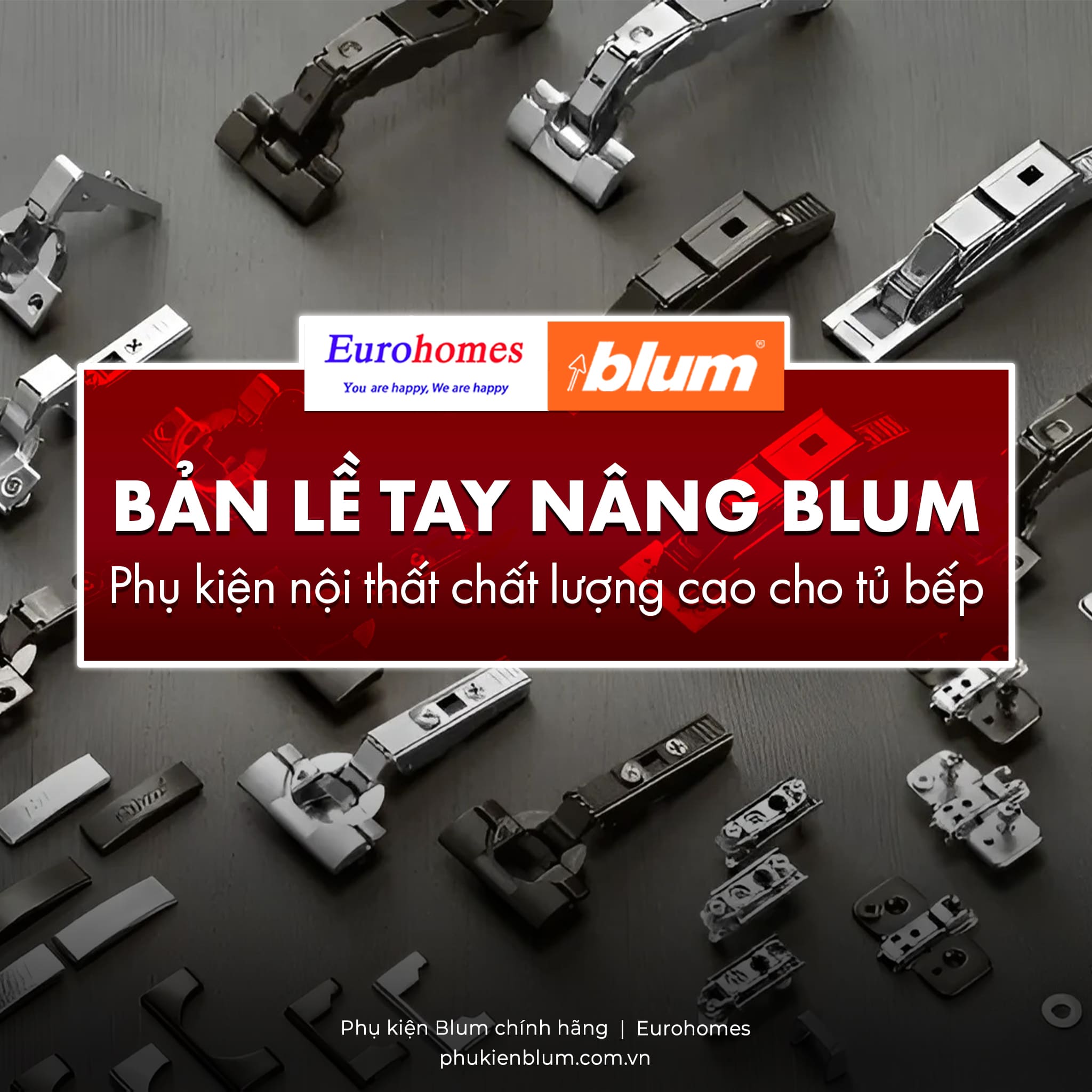 Bản lề Tay nâng Blum