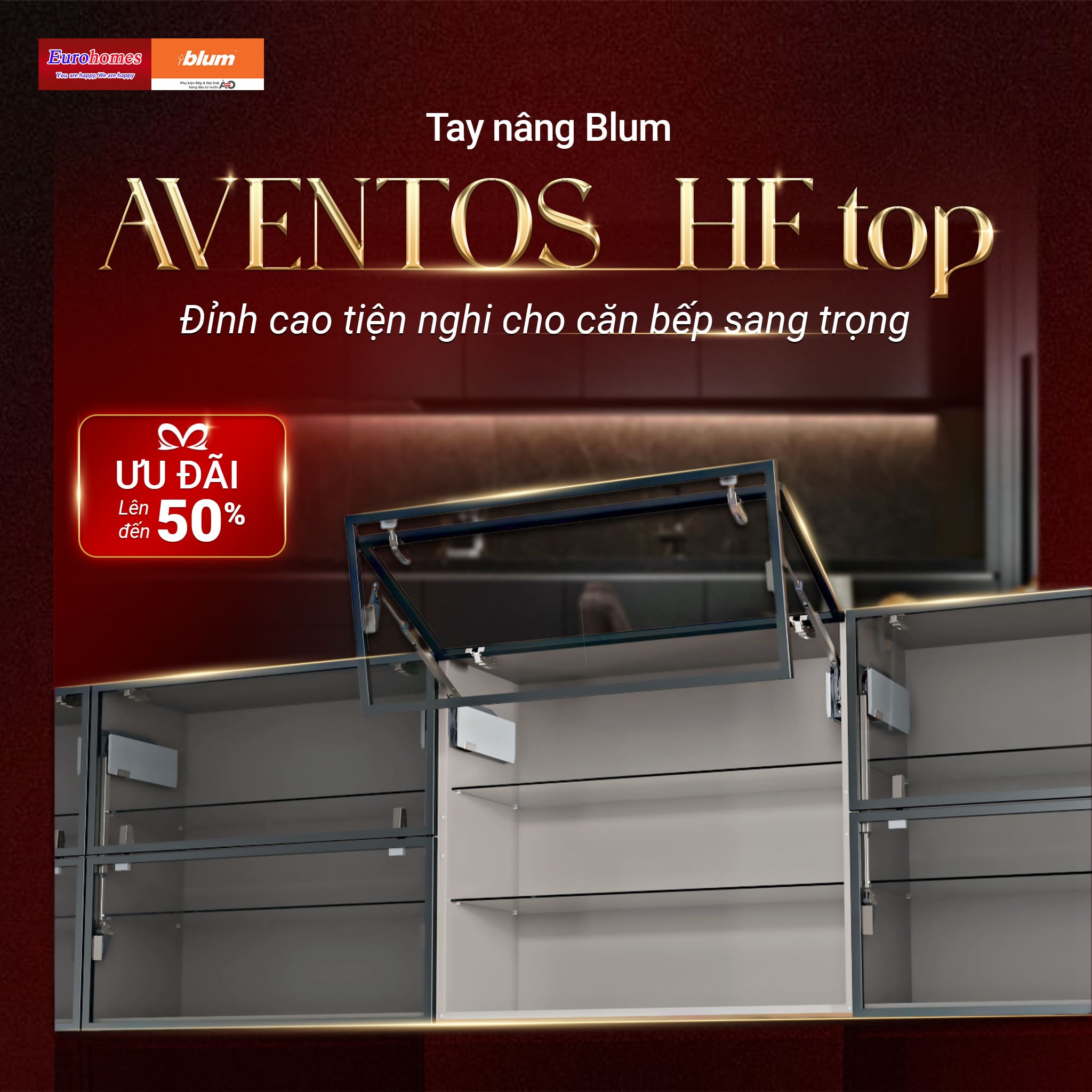 Tủ bếp Phụ kiện Blum